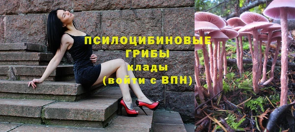 каннабис Алзамай