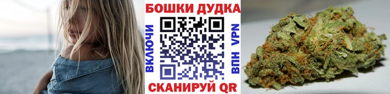 сколько стоит  Сыктывкар  MEGA как зайти  Марихуана план 